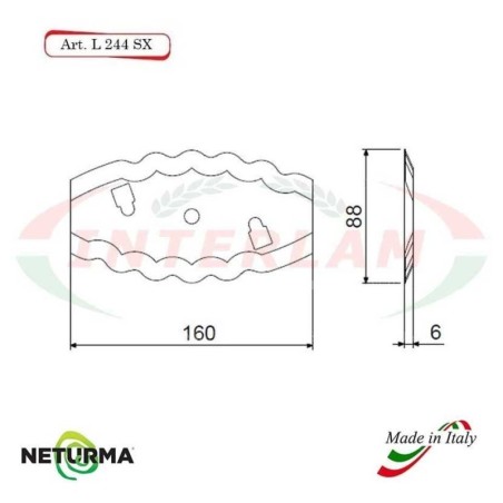 L244SX - Lama per Carri UNIFEED - Dentata - Ø88 - 2 FORI - STORTI - ST16800059 - (10 Pz.)