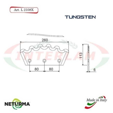 L210DX - TUNGSTENO - Lama per Carri UNIFEED - Dentata  Ø113 - PAGLIARI